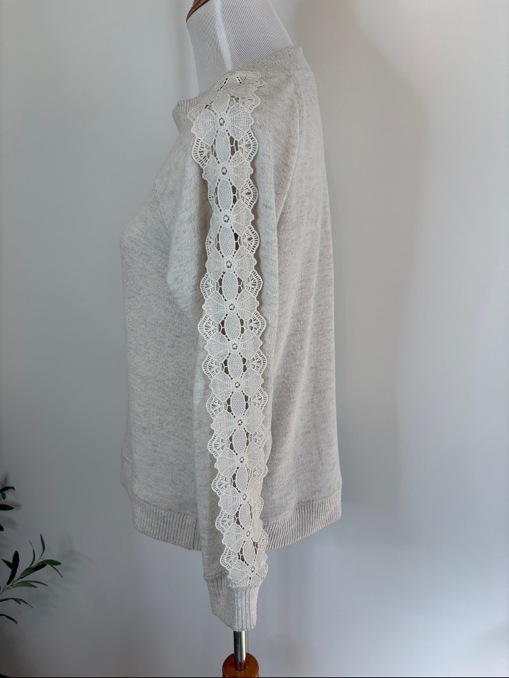 Democracy Cream Lace-Accent Sleeves Crewneck Sweater | XS